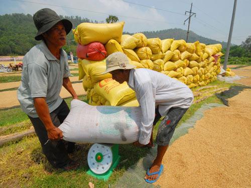 VIB dành 1000 tỷ đồng cho vay thu mua, tạm trữ thóc, gạo với lãi suất ưu đãi